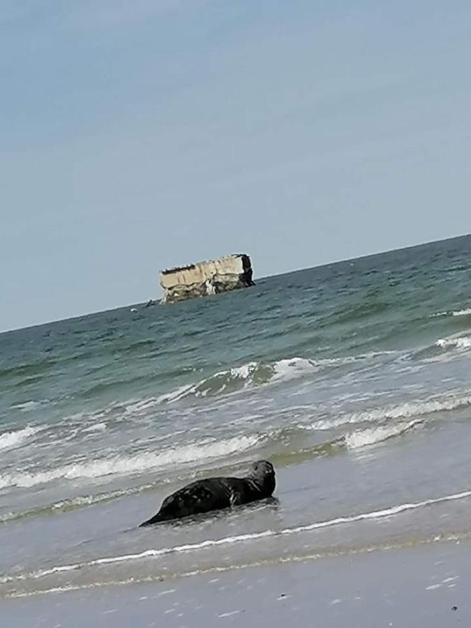 Fl'heurt De Sable Au Bord De